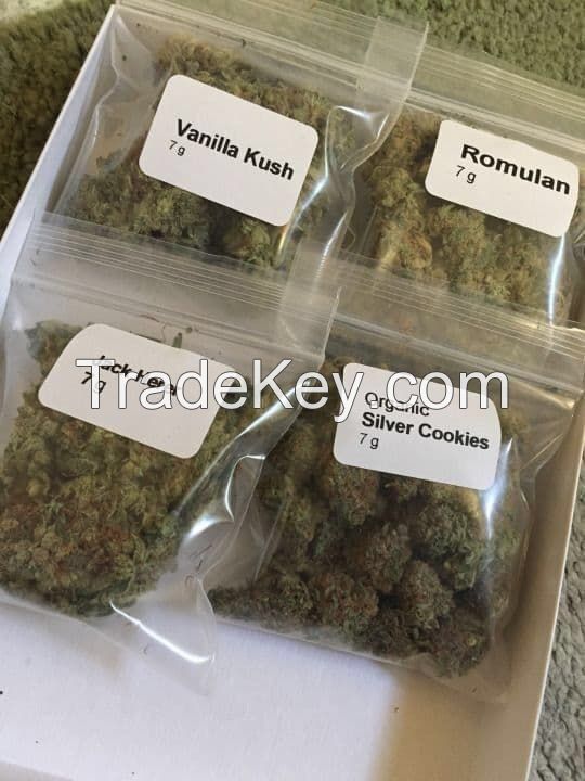 STRAINS FOR SALE