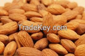 almond nuts for sale