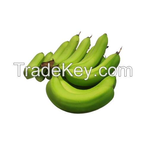Fresh Natural Organic Selling Top Grade B789 Cavendish Banana Cheap Price Low MOQ Hot Sale Bulk Wh