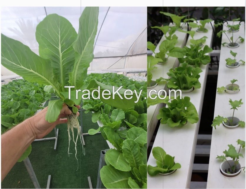 Hydroponic tube / Garden Hydroponic Square Plastic Tube