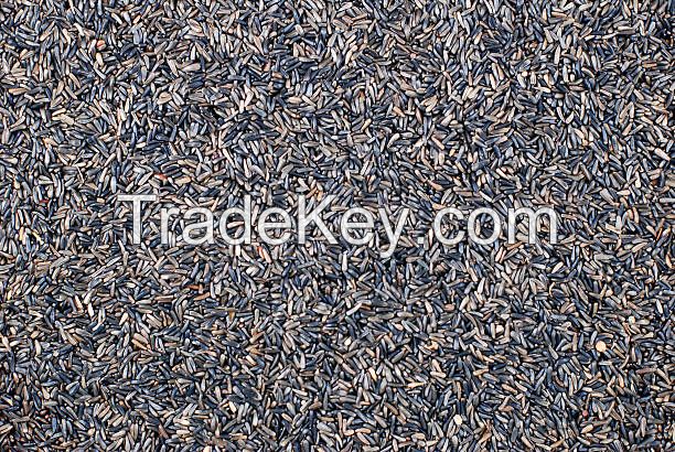 Niger Seed