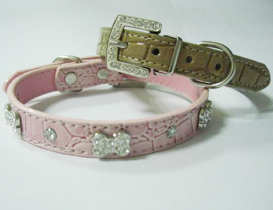 pet collar