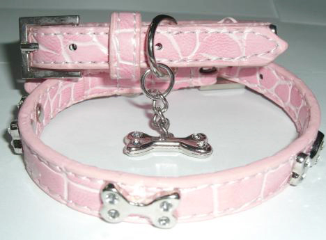 dog collar