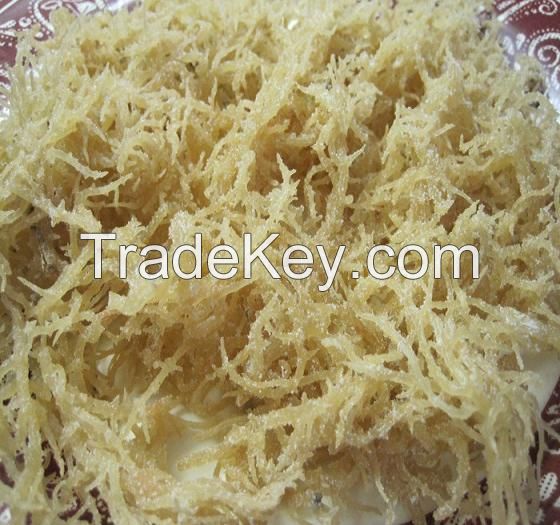 The Best Price and High Quality Sea Moss