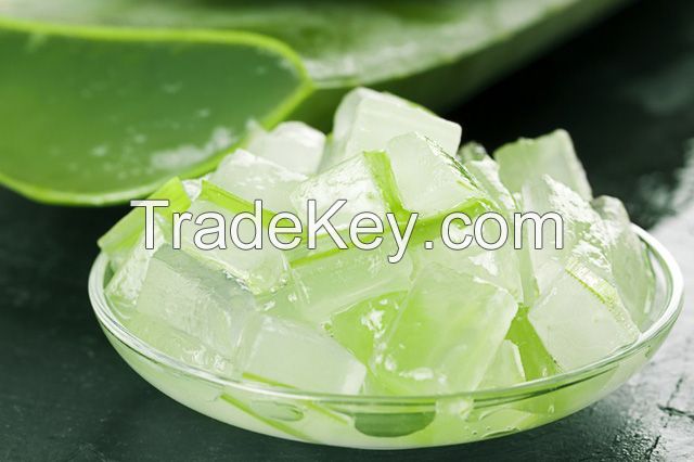 High Quality Aloe Vera Dice from Viet Nam with Whatsapp: +84369952775