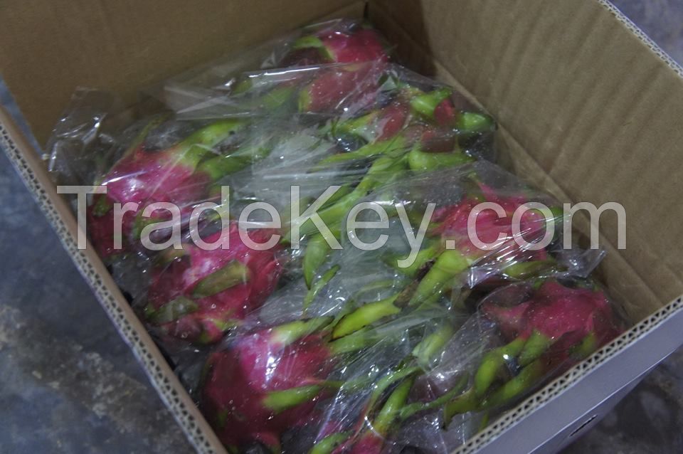 High Quality Fresh Dragon Fruit with Whatsapp: +84369952775