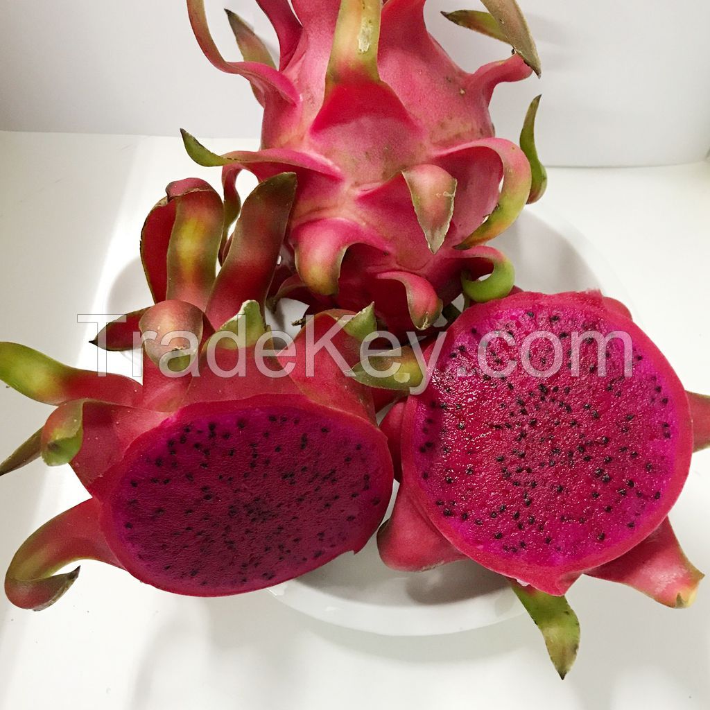 High Quality Fresh Dragon Fruit with Whatsapp: +84369952775