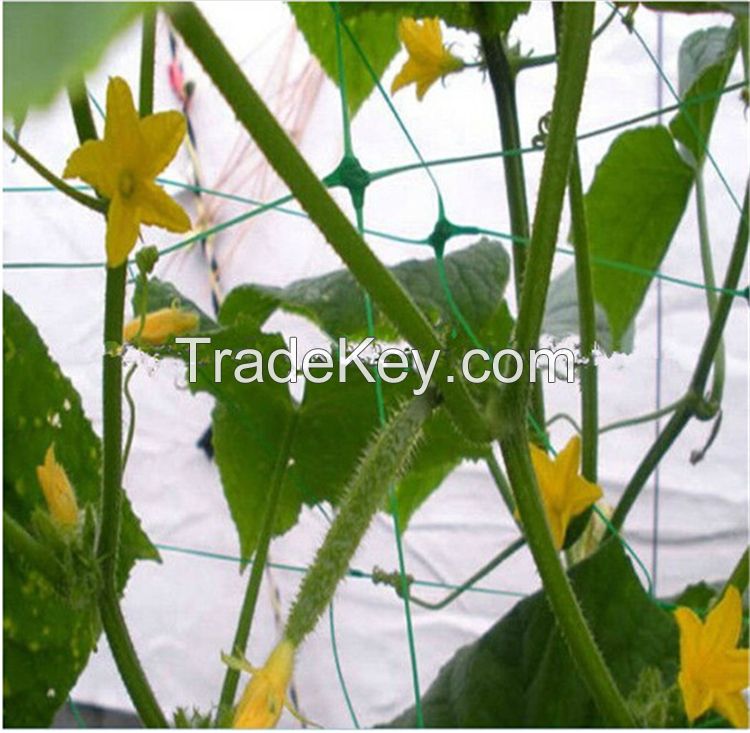 Plant Plastic Support Mesh Garden Net