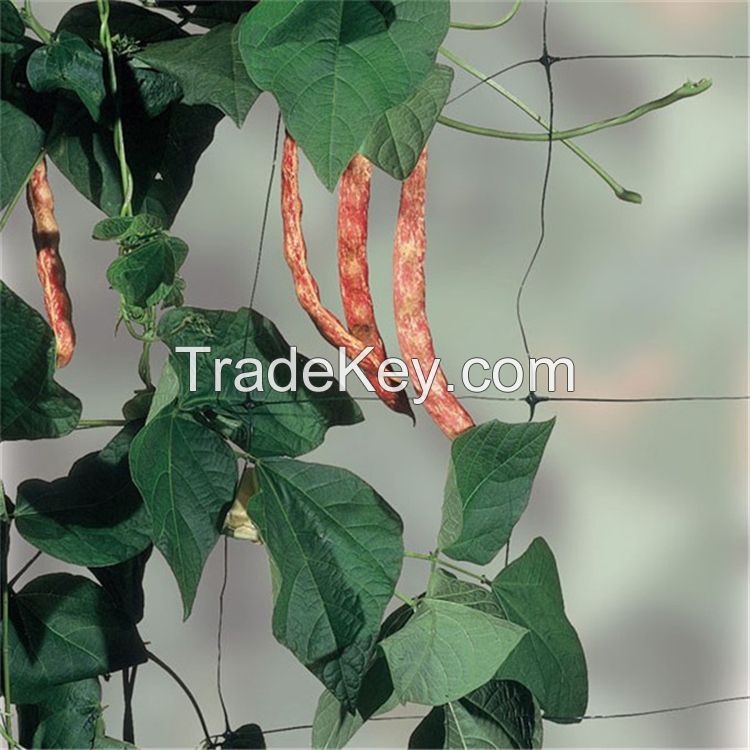 Plant Plastic Support Mesh Garden Net