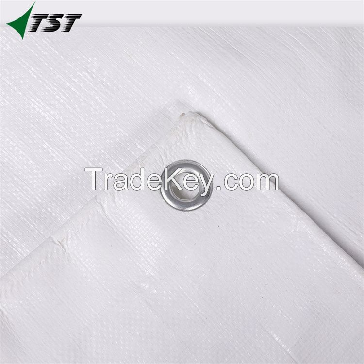 Plastic Waterproof Heavy Duty PE Tarps For Truck Cover