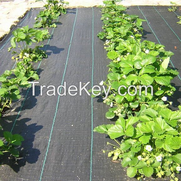 Weed Control Fabric Garden Mat Landscape