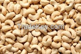 Cashew nut