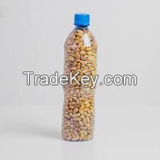 Groundnut seed