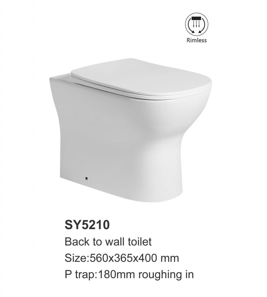 Back to wall toilet