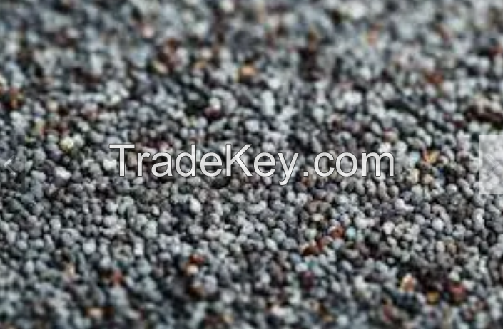 Cheap Blue Poppy Seeds Wholesale