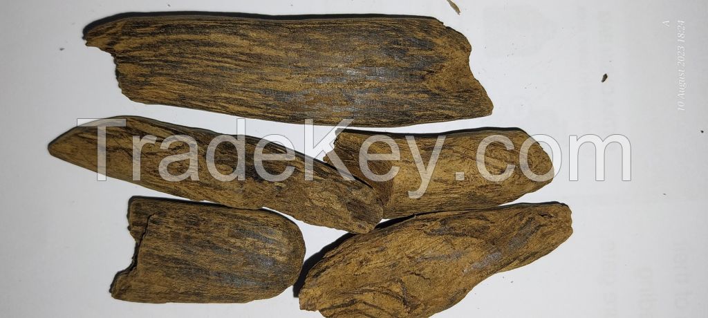 Agarwood