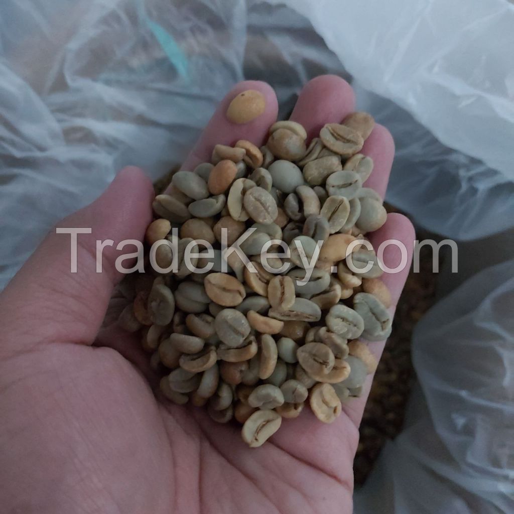 Arabica Specialty Fine Robusta Coffee Bean from West Java Indonesia