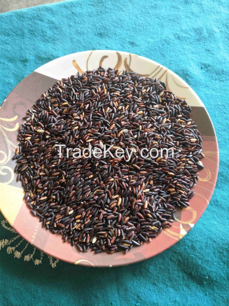 Black Rice