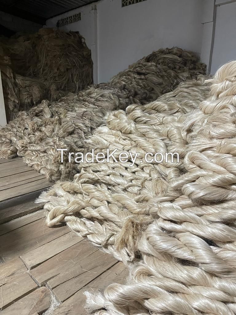 Abaca Fiber