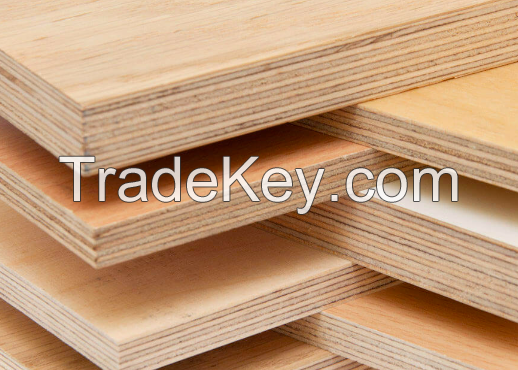 Polished plywood