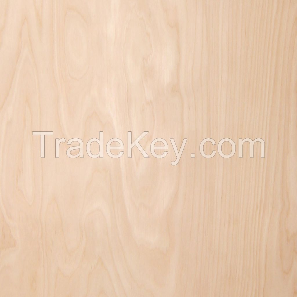 Birch veneer