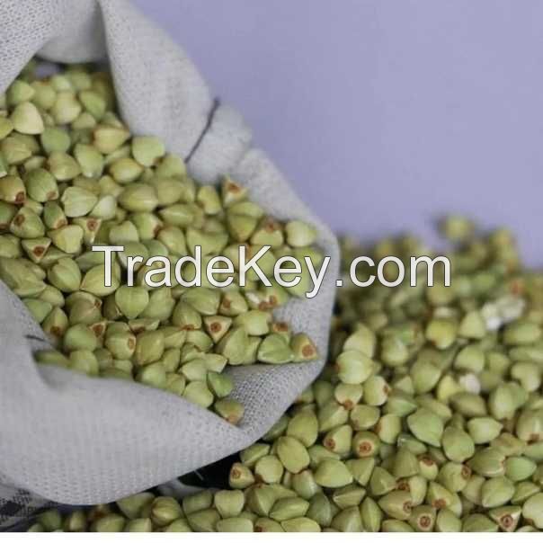 Green buckwheat grain