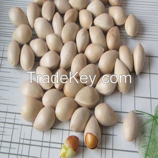 Selling Ginkgo Nuts ,Peeled Ginkgo Nuts,Raw Ginkgo Nuts 