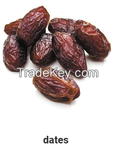 Fresh Dates Fruits