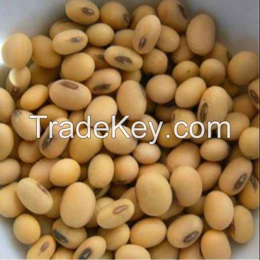 Soybeans