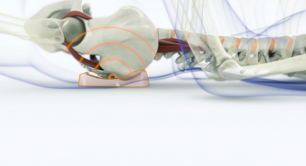Device for spine relaxation, apparatus for spine correction, massager for the neck, back, lumbar, mechanical back simulator