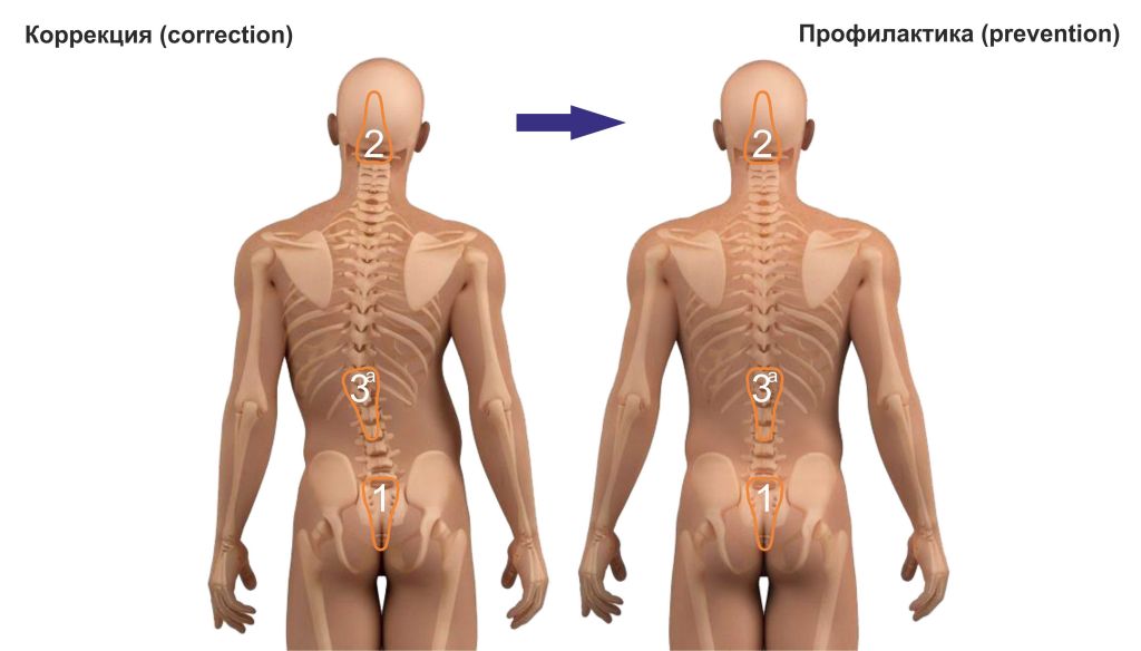 Device for spine relaxation, apparatus for spine correction, massager for the neck, back, lumbar, mechanical back simulator