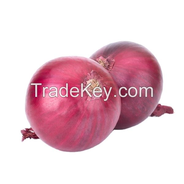 Onions - Fresh High Quality Red Onions 