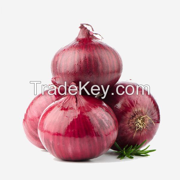 Onions - Fresh High Quality Red Onions 