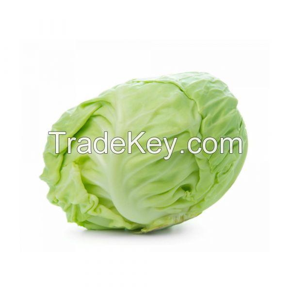 Fresh Cabbage Nutrition Facts