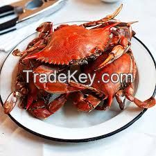 mud crab for sale uk