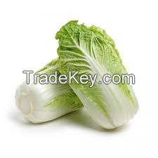 Fresh Cabbage On Sale