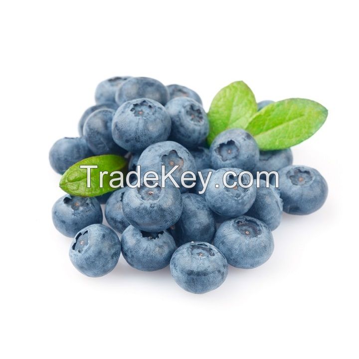 Blueberry Fruits For Sale Cameroon