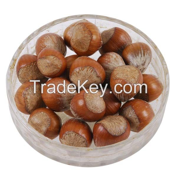 Best Place To Buy Hazelnuts