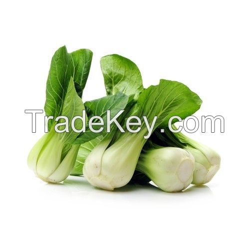 Bok Choy Leaf For Sale Marketplace