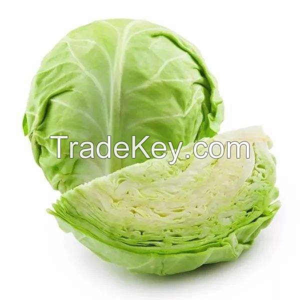 Fresh Cabbage Suppliers Belgium