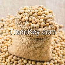 soybean seed companies in india