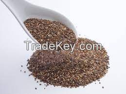 chia seed suppliers mexico