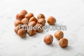 Hazel Nuts Suppliers And Distributors