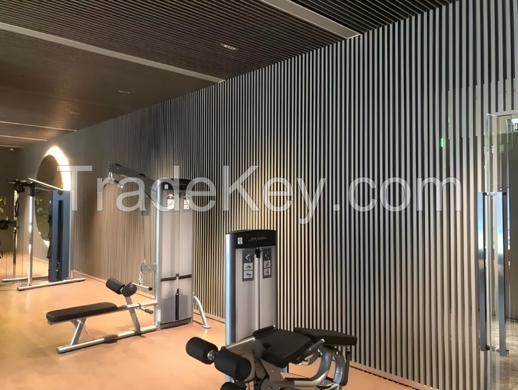 Aluminum Extrusion Decorative Split Joint Slot Wall Panel Metal Wall Panel System