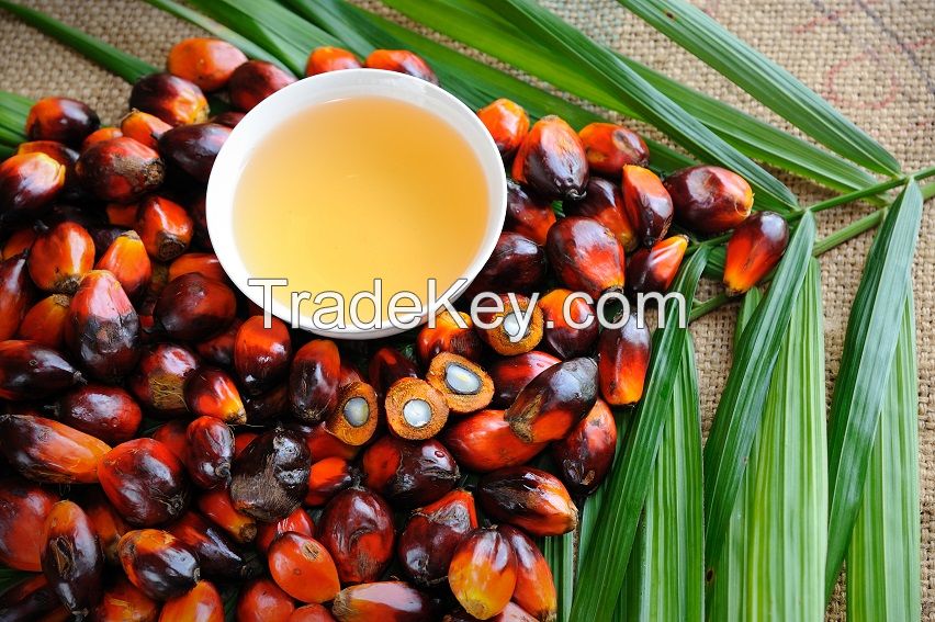 RBDPO (Refined Bleached Deodorized Palm Oil)