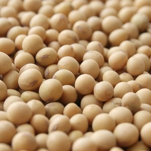 Soybeans/oil Ã¢ï¿½ï¿½ All Types