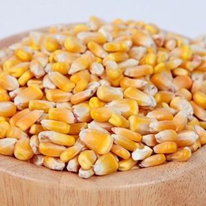 Yellow Corn