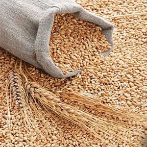 Wheat GrainsÃ¢ï¿½ï¿½ All Types