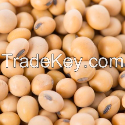 Soybeans sortex cleaned