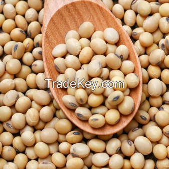 Soybeans sortex cleaned